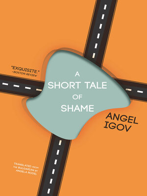cover image of A Short Tale of Shame